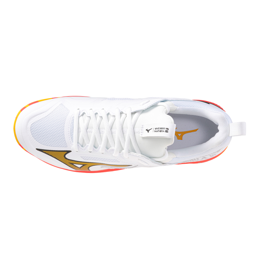 Mizuno Wave Panthera 25'26