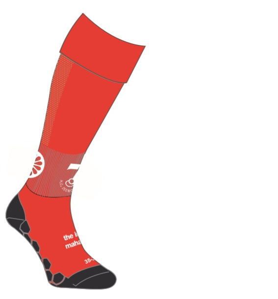 HC Zeewolde From Stockings